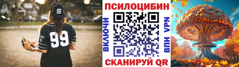 сколько стоит  Починок  Галлюциногенные грибы MAGIC MUSHROOMS 